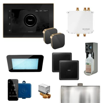 Mr. Steam XDream Steam Shower Control Package