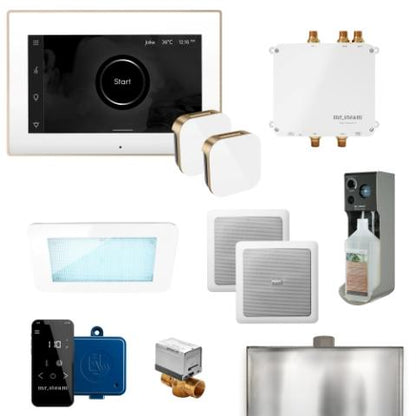 MrSteam Bliss Max Steam Shower Control Package with AromaGlass Steam Head