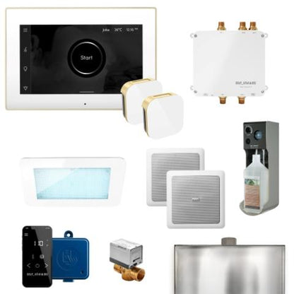 Mr. Steam XDream Linear Steam Shower Control Package Linear Steam Head