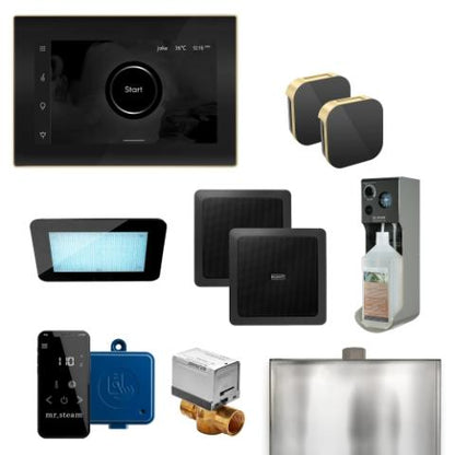 Mr. Steam XDream Max Steam Shower Control Package with AromaGlass Steam Head