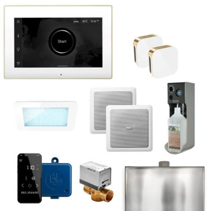 Mr. Steam XDream Max Steam Shower Control Package with AromaGlass Steam Head
